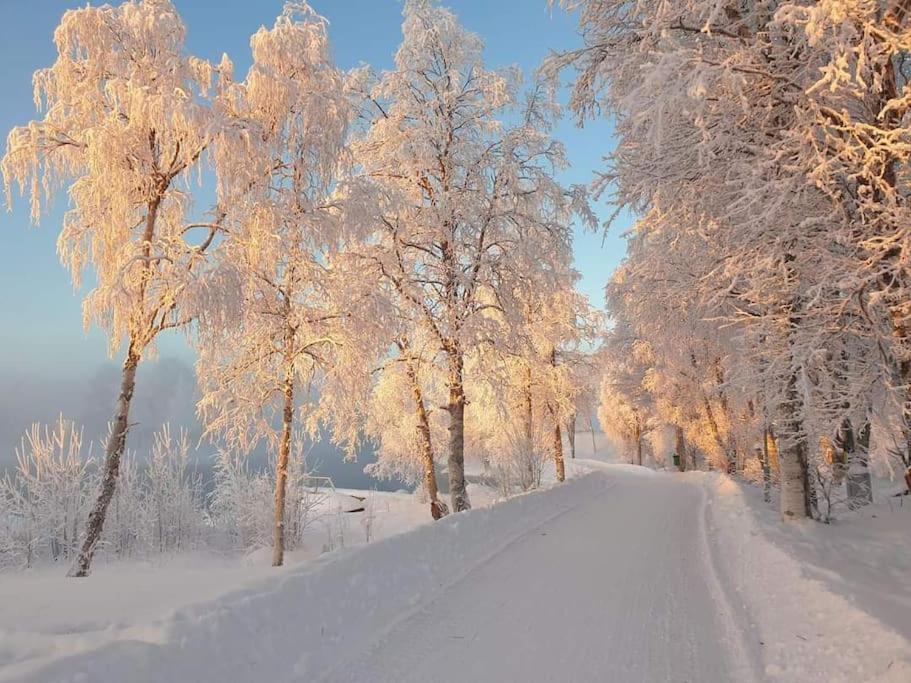 Bergsgatan 5 Arjeplog Villa Екстериор снимка
